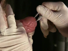 extrem shaft and testicles torment cock ball torture