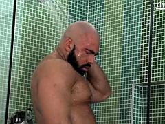 Anál, Pár, Gay, Hardcore, Svaly, Rumunské