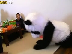 Real college sex party with a Panda-boy, part 3