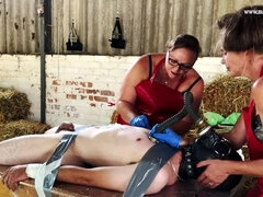 Bondage disciplin sadomasochisme, Stor pik, Kvinde dominans, Fetish, Latex, Herskerinde, Gummi, Slave