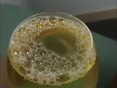 Japanese drink piss