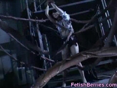 Asiatique, Bizarre, Bondage, Brunette brune, Fétiche, Japonaise, Adolescente, Nénés