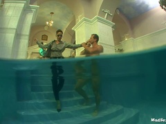 Styl na pieska, Płeć żeńska, Palcówka, Naturalne cycki, Rajstopy, Strona, Jazda konna, Swingers