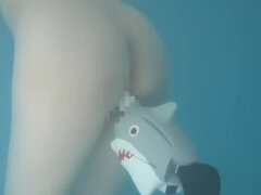 Perverted Shark Attack