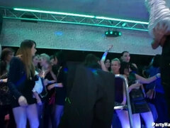 Brunetka, Nazí chlapi, Péro, Spodní prádlo, Orgie, Punčocháče, Punčochy, Swingers