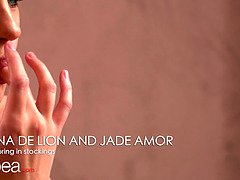 Petite French Brunette Jade Amor & Elina De Lion scissor in fishnets and lingerie in hot lesbian action