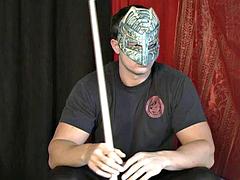 Tekintélyes didik, Fétis, Begyek