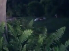 Жопа, Красивые, Глубокая глотка, Группа, Лесбиянка, Соски, Сиськи