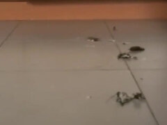 Popó, Szépség, Kebles, Édes, Mélytorok, Fétis, Mellbimbók, Orgazmus