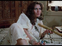 9 Lives of a Wet Vagina retro sex