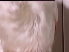 Lepotice, Fafanje, Prišlo v usta, Obrazno, Lulanje, Jahanje, Tuširanje, Trojček