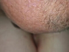 Kuusysi, Perse, Brittiläinen, Pariskunta, Kyrpä, Kotitekoinen, Hirviö, Imevä