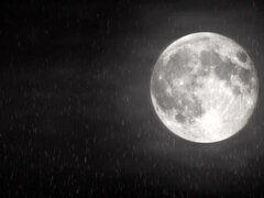 엉덩이, 항문핥기, 사정 샷, 도기스타일, 핑거링, 셀카, 짧은 머리, 젖가슴