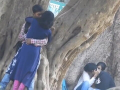 Desi love birds caught on