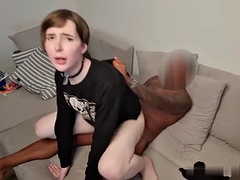 Amatéri, Veľké péro, Čierne, Kuřba, Medzirasové, Realita, Shemale, Kozičky