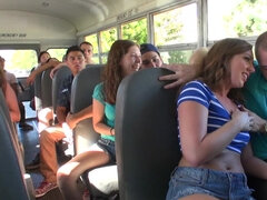 Kuřba, Autobus, Honění, Venku