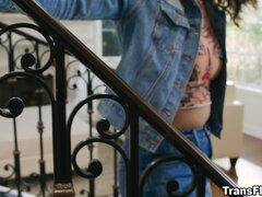 Grote mammen, Bruinharig, Mollig, Lul, Voeten fetish, Kokhalzen, Masturbatie, Shemale