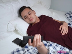 Amatéri, Veľké péro, Veľké kozy, Kuřba, Hardcore, Milf  mčbp, Pobehlica, Nevlastná mama