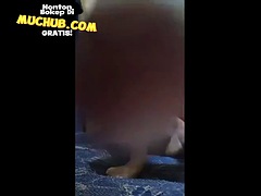 Latest Indonesian hijab porn - Muchub Porn Videos Sharing
