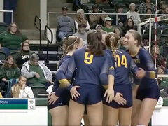 splendid school Volleyball chicks