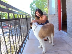 Κατηγορία - Παιχνίδια