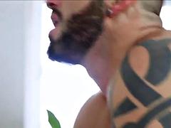 Iso kulli, Homo, Lihas