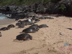 Plage, Noire, Nue, Pov, Public, Chatte, Rasée, Nénés