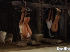 Bondage sadomaso, Bondage, Fetish, Hd, Lesbica, Dominatrice, Schiavo, Legati