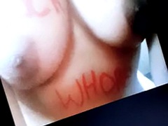 Gay bicha veado
