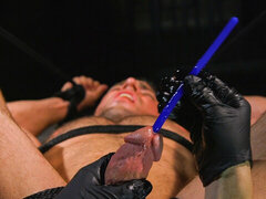BDSM anal domination for Alex Mecum
