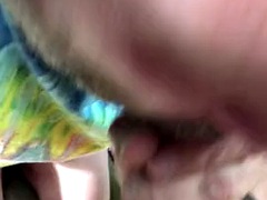 Gay bicha veado