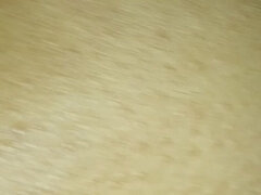 Iso kulli, Kotitekoinen, Intialainen, Pillu