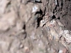 Μεγάλος πούτσος, Πόδια, Φετιχ, Αστείος, Ομοφυλόφιλος, Μαλλιαρός, Σκληρό, Δημόσιο