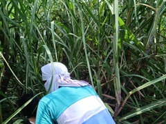 Ερασιτέχνης, Ζευγάρι, Εκτός