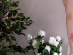 Amaterji, Umazano govorjenje, Ljubica, Romanian, Solo, Tetovaže