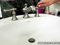 Tekintélyes didik, Cumizás, Gesztenyebarna, Kugár, Hatalmas, Érett feleség, Begyek