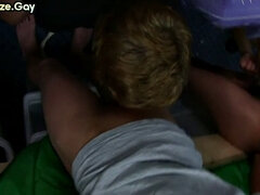 Amatööri, Anaali, Lukio, Ylioppilasasuntola, Fetissi, Homo, Ryhmä, Pornotähti