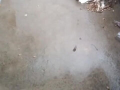 18, Azjatka, Piękna, Obciąganie, Dziewczyna, Indyjski, Sutki, Żona