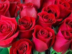 Rumpe til munn, Tante, Stor rumpe, Inder, Moden, Milf, Mamma, Stemor