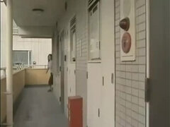 Asijské, Kotě, Vysokoškolačka, Japonské