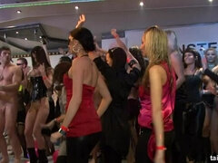 Club Cunts Part 5 - Main Edit