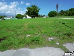 Blond, Pijpbeurt, Autobus, Auto, Sperma shot, Hondjeshouding, Hardcore, Slikken