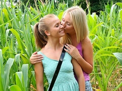 Любители, Пальцем, Поцелуи, Лесбиянка, Белье, Мастурбация, Киски, Сиськи