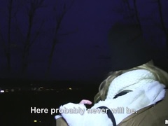 Publiczny