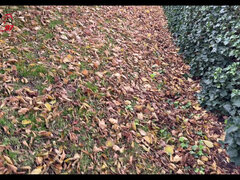 Amatorka, Blondynka, Para, Płeć żeńska, Niemiecki, Lesbijka, Masturbacja, Cycki