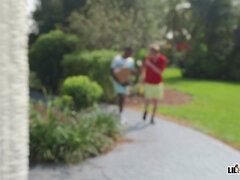 Røv, Pik sutte, Brunette, Imellem racer, Slikning, Olie, Fisse, Brystknepning