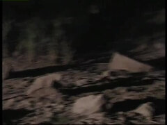 항문, 이상한, 금발의, 가슴이 큰, 얼굴에, 그룹, 하드코어, 젖가슴