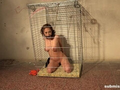 Bound ballgagged and caged