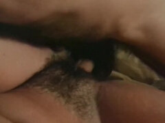 Szépség, Cumizás, Kebles, Édes, Mélytorok, Mellbimbók, Nuni, Hármas