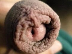 Hypn0 Alpha Cash Cock Foreskin!